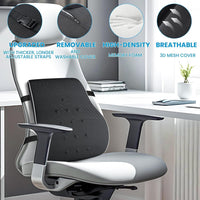 Ergo Comfort Lumbar Support Pillow™