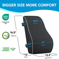 Ergo Comfort Lumbar Support Pillow™